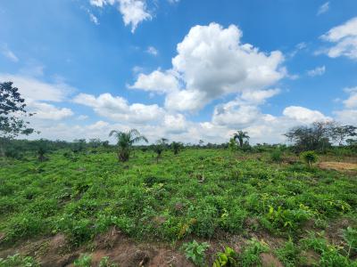 Agriculture Made Simple, Invest and Earn, Off Funaab, Alabata Road, Odeda, Ogun, Mixed-use Land for Sale