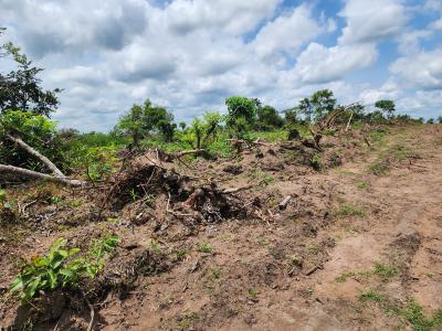 Get Farmland That Generates Income All Year Round, Off Funaab, Alabata Road, Odeda, Ogun, Mixed-use Land for Sale