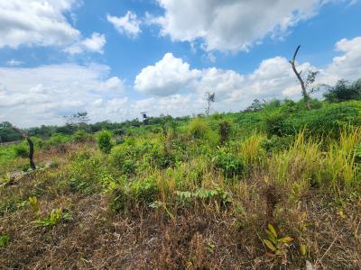 Make Money From Farming Without Doing The Work, Off Funaab, Alabata Road, Odeda, Ogun, Mixed-use Land for Sale
