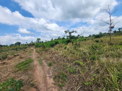 Own Farmland and Earn Steady Agricultural Returns, Off Funaab, Alabata Road, Odeda, Ogun, Mixed-use Land for Sale