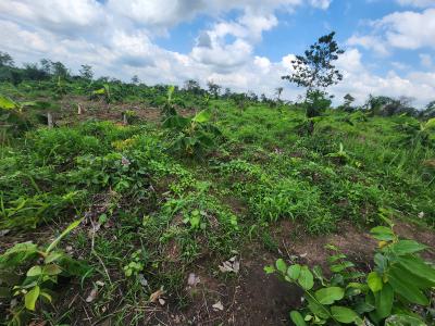 Farm Ownership That Guarantees You Profit Every Season, Off Funaab, Alabata Road, Odeda, Ogun, Mixed-use Land for Sale