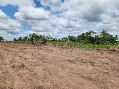 Multiply Your Investment Through Farmland Ownership, Off Funaab, Alabata Road, Odeda, Ogun, Mixed-use Land for Sale