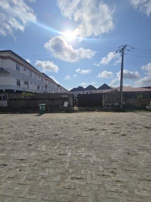 1,300 Square Meters (2  Plots) of Land, Ikota, Lekki, Lagos, Residential Land for Sale