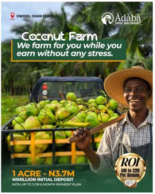 Nigeria First Highbrid Coconut Farm with a Good Location, Adaba Coconut Farm and Resort, Owode, Obafemi Owode, Ogun, Commercial Land for Sale