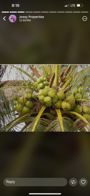 Nigeria First Highbrid Coconut Farm with a Good Location, Adaba Coconut Farm and Resort, Owode, Obafemi Owode, Ogun, Commercial Land for Sale