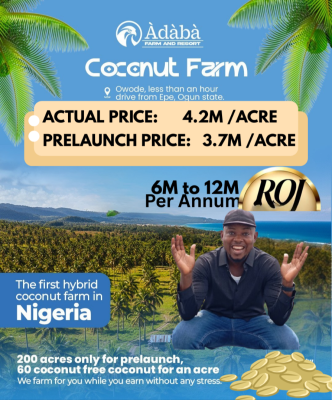 Adaba Highbrid Coconut Farm with 6 to 12m Roi Annually., Ogun State, Obafemi Owode, Ogun, Land for Sale
