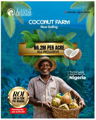 Adaba Hybrid Coconut Farm., Adaba Hybrid Coconut Farm, Obafemi Owode, Ogun, Commercial Land for Sale