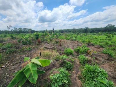 Farmland Investment with Proven Agricultural Roi, Off Funaab, Alabata Road, Odeda, Ogun, Mixed-use Land for Sale