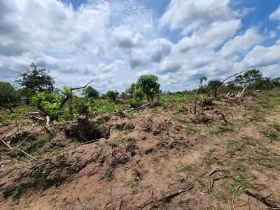 Own 100% Fertile Farmland, Ideal for Oil Palm Farming, Off Funaab, Alabata Road, Odeda, Ogun, Mixed-use Land for Sale