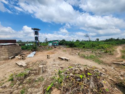 Join Hundreds of Investors Making Millions From Farmland, Off Funaab, Alabata Road, Odeda, Ogun, Mixed-use Land for Sale