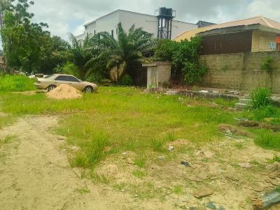 Prime Land Ideal for Church and Car Wash, Just Before Dkk Bus Stop, Sangotedo, Ajah, Lagos, Commercial Land for Rent