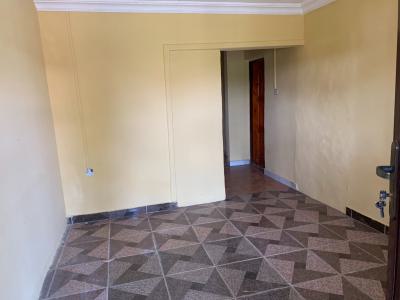 Spacious Mini Flat, Abijo Gra, Ajah, Lagos, Mini Flat (room and Parlour) for Rent
