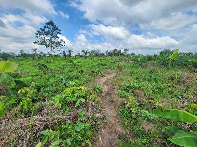 Get Your Own Farm Plot and Start Cultivating, Off Funaab, Alabata Road, Odeda, Ogun, Mixed-use Land for Sale
