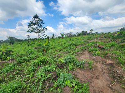 Farm Smart and Earn Without Stress, Off Funaab, Alabata Road, Odeda, Ogun, Mixed-use Land for Sale
