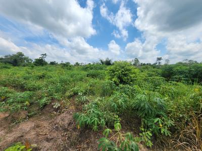 Grow Wealth From The Ground Up with Farmland, Off Funaab, Alabata Road, Odeda, Ogun, Mixed-use Land for Sale