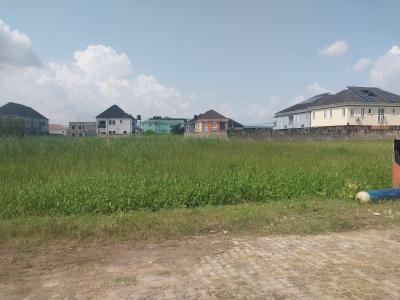 Residential Full Plot of Land Measuring on 754sqm, Opic Estate, Opic, Isheri North, Lagos, Residential Land for Sale
