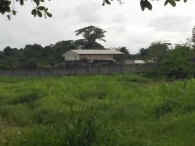 5000sqms Prime Development Land, Freedom Way, Lekki Phase 1, Lekki, Lagos, Mixed-use Land for Sale