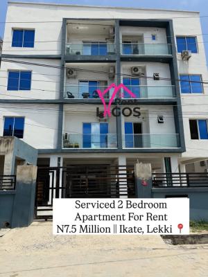 Modern 2 Bedroom Apartment, Ikate, Lekki, Lagos, Flat / Apartment for Rent