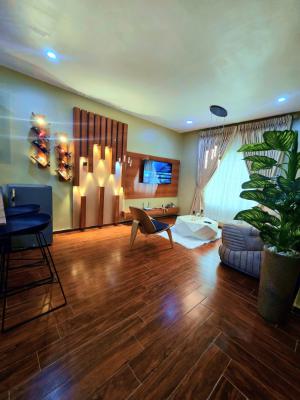 I Bedroom Beach Front Appartment, Horizon Cyberville Estate, Ikate Elegushi, Lekki, Lagos, Mini Flat (room and Parlour) Short Let