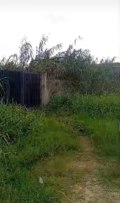 5 Plots of Dry Land Together, Peace Ville Estate, Ajah, Lagos, Residential Land for Sale