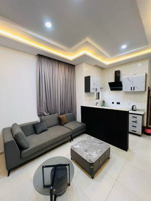 Casmir Exquisite 1 Bedroom Apartment with Modern Facilities, New Haven, Enugu, Enugu, Flat / Apartment Short Let