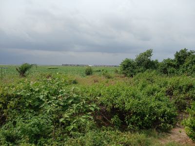 Waterfront Plot of Land Measuring 600sqm, Alogba Estate, Ikorodu, Lagos, Residential Land for Sale