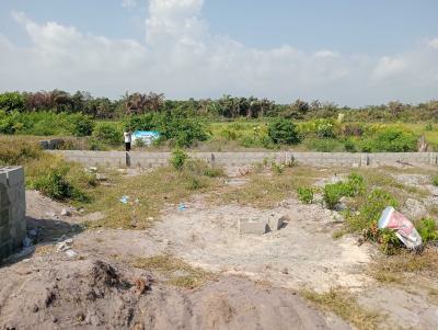 C of O Land in New Lekki International Airport, Airview Estate with Accessible Road Network 100% Dry Land, Ibeju Lekki, Lagos, Mixed-use Land for Sale
