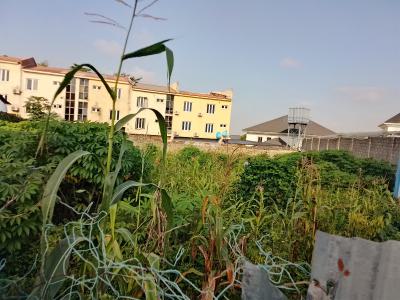 1,200sqm Residential Land, By Guzape, Asokoro District, Abuja, Residential Land for Sale