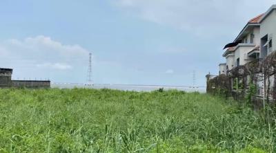 Well Structured Waterfront Land Measureding 3,000 Sqms, Osborne, Ikoyi, Lagos, Residential Land for Sale