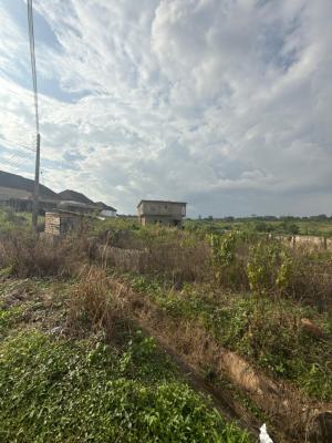 450sqm of Land in a Mini Estate, Tiger Estate, Ojoo, Ibadan, Oyo, Residential Land for Sale