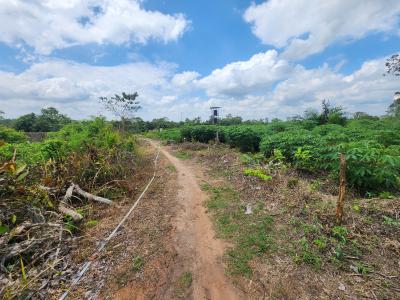 Grow Food, Grow Wealth, Own a Farm, Off Funaab, Alabata Road, Odeda, Ogun, Mixed-use Land for Sale