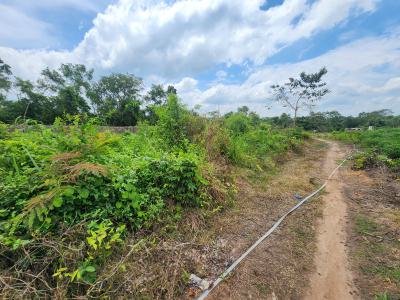 Farmland That Yields Crops and Cashflow, Off Funaab, Alabata Road, Odeda, Ogun, Mixed-use Land for Sale