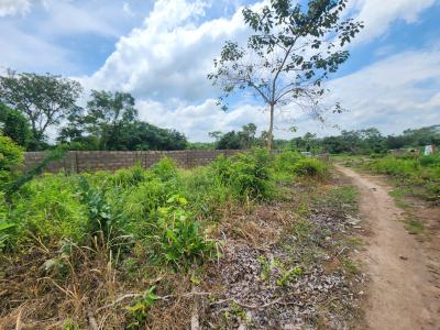 From Soil to Success, Invest in Farming, Off Funaab, Alabata Road, Odeda, Ogun, Mixed-use Land for Sale