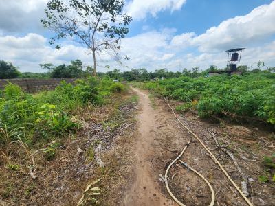Invest in Green Gold and Earn for Life, Off Funaab, Alabata Road, Odeda, Ogun, Mixed-use Land for Sale