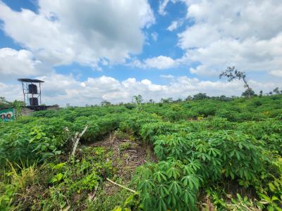 Fertile Land, Flexible Plans, Fantastic Returns, Off Funaab, Alabata Road, Odeda, Ogun, Mixed-use Land for Sale