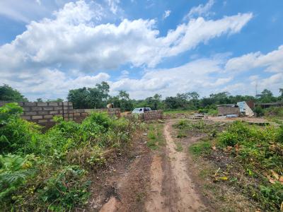 Double Your Investment Through Agriculture, Off Funaab, Alabata Road, Odeda, Ogun, Mixed-use Land for Sale