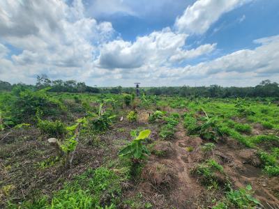 Secure a Farmland That Pays You Season After Season, Off Funaab, Alabata Road, Odeda, Ogun, Mixed-use Land for Sale