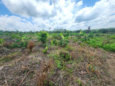 Let Your Farmland Make Money While You Sleep, Off Funaab, Alabata Road, Odeda, Ogun, Mixed-use Land for Sale