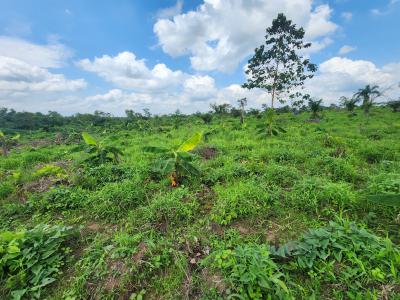 Watch Your Land Appreciate While Your Profits Multiply, Off Funaab, Alabata Road, Odeda, Ogun, Mixed-use Land for Sale