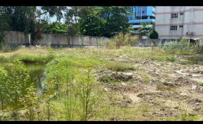 Bareland of 2,000 Sqm at Adeola Odeku, Adeola Odeku, Victoria Island (vi), Lagos, Mixed-use Land for Sale