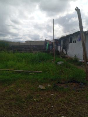 700sqm of Land in Royal Pine Estate, Orchid Road, Lekki, Lagos, Residential Land for Sale