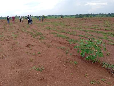 Farm Land, Aroko Farm and Resort, Ayetoro, Abeokuta South, Ogun, Land for Sale