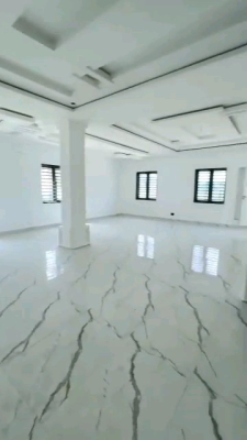 Luxury 7 Bedroom Fully Detached Duplex with Massive, Asokoro District, Abuja, House for Sale
