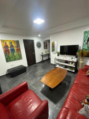 Cozy 2 Bedroom Apartment, Agoro Odiyan Street, Off Adeola Odeku, Victoria Island (vi), Lagos, Flat / Apartment Short Let