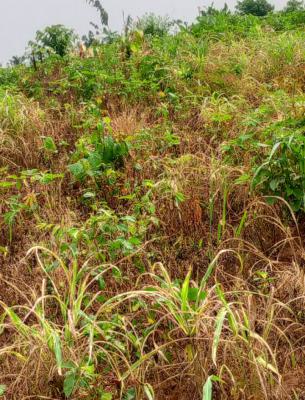 2179sqm Piece of Land, Awoyaya, Lekki Expressway, Lekki, Lagos, Commercial Land for Sale