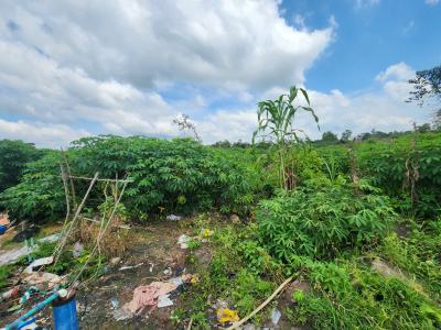 Be Part of The Green Gold Rush, Farm Smarter, Live Better, Off Funaab, Alabata Road, Odeda, Ogun, Mixed-use Land for Sale