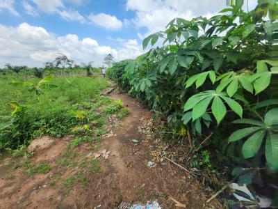 Turn Plots Into Millions Every Farming Season, Off Funaab, Alabata Road, Odeda, Ogun, Mixed-use Land for Sale