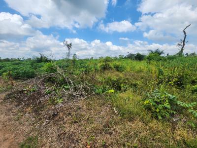 Own Farmland That Appreciates While Producing Income, Off Funaab, Alabata Road, Odeda, Ogun, Mixed-use Land for Sale