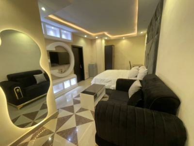 Spacious Studio Apartment, Adeyemo Akapo, Omole Phase 1, Ikeja, Lagos, Self Contain (single Rooms) Short Let