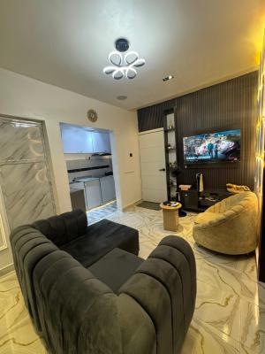 Exquisite One Bedroom Apartment, Shomolu, Lagos, Mini Flat (room and Parlour) Short Let